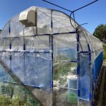 職場のビニールハウスに換気扇とサーキュレーターを設置しました 活動/実践