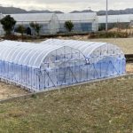 職場の簡易連棟ハウスの外観できました 活動/実践