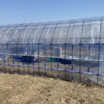 職場の簡易連棟ハウスの天井部分に補強と内張を張りました 活動/実践