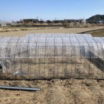 職場の簡易連棟ハウス完成間近です 活動/実践