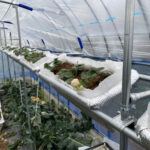 イチゴプランター設置台増設中です 活動/実践