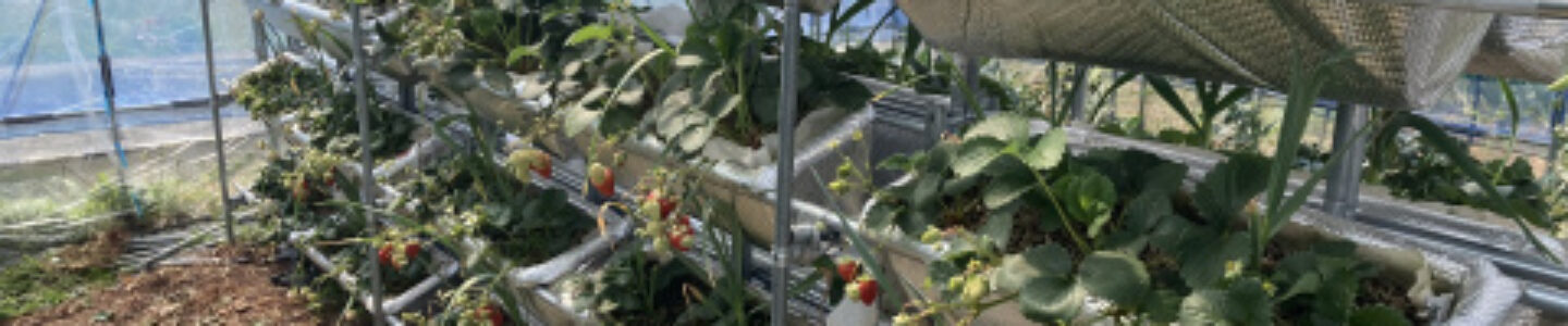 インクルーシブ高知