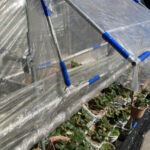 自動換気装置無事に動いています 活動/実践